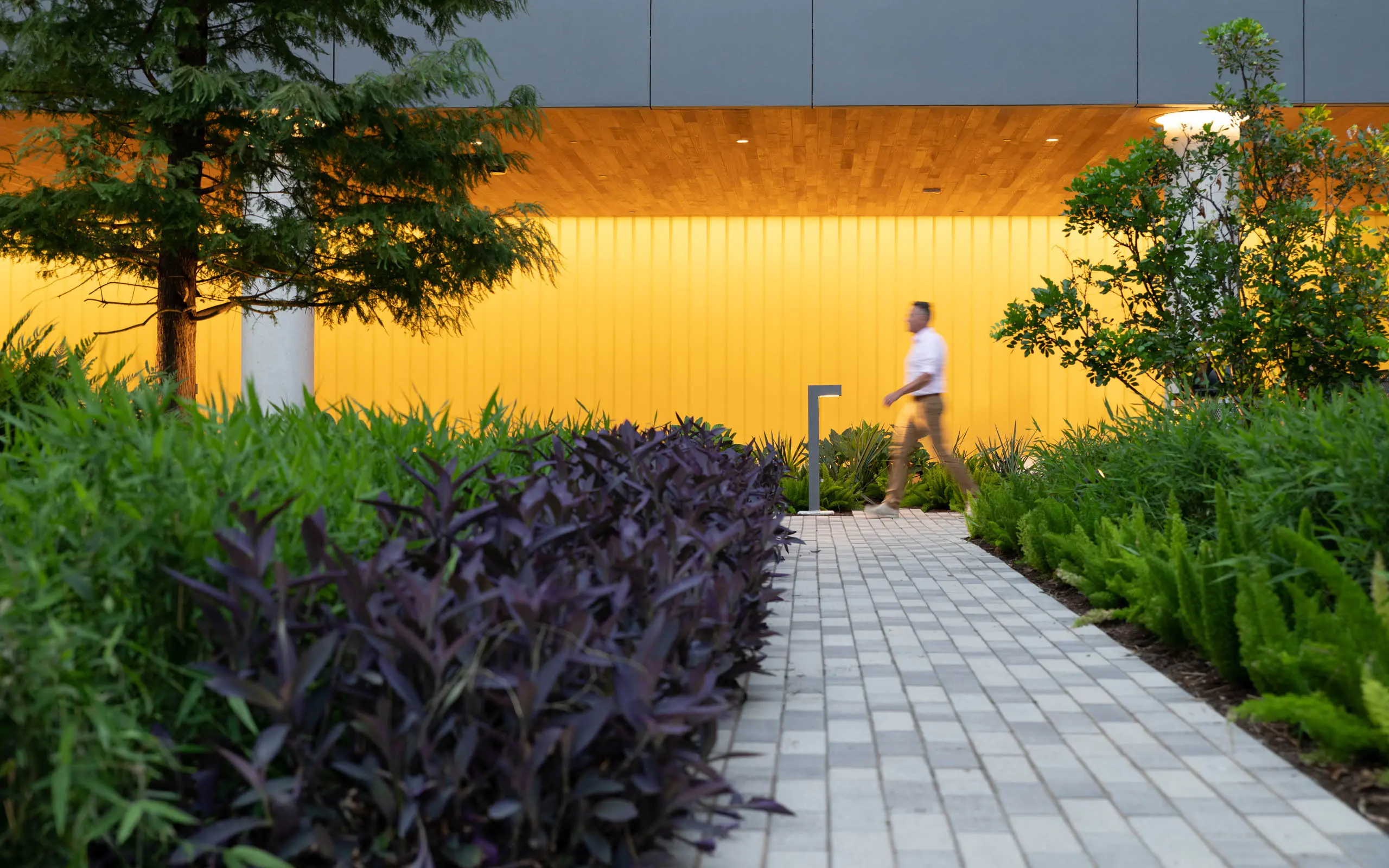 Texas Mutual Insurance Company Headquarters