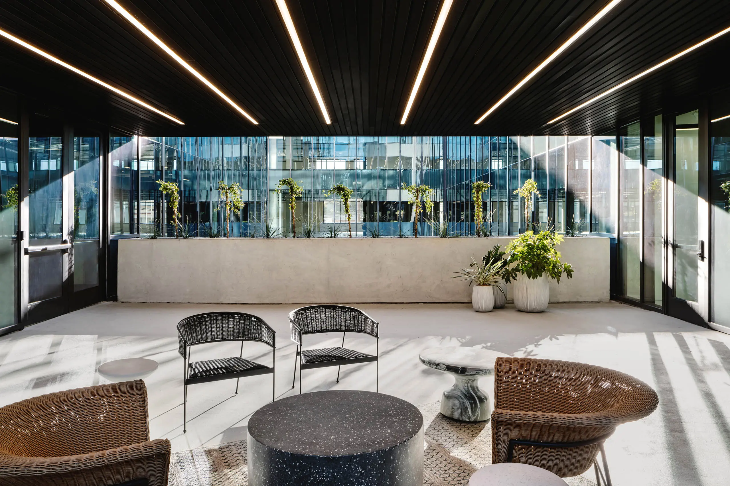 Bouldin Creek Commons